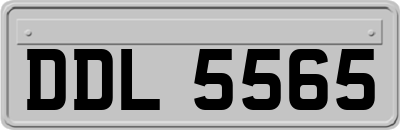 DDL5565