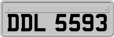 DDL5593