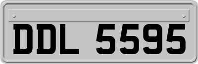 DDL5595