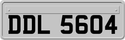 DDL5604