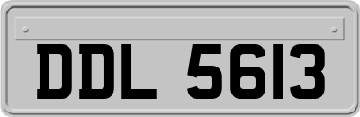 DDL5613