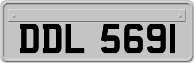 DDL5691