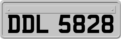 DDL5828