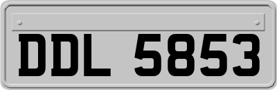 DDL5853