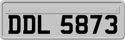 DDL5873