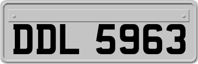 DDL5963