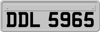 DDL5965