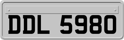 DDL5980