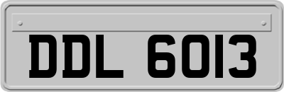 DDL6013