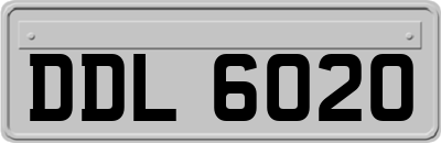 DDL6020