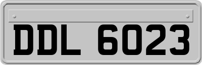 DDL6023