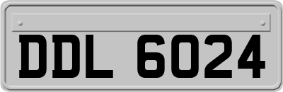 DDL6024