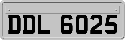DDL6025