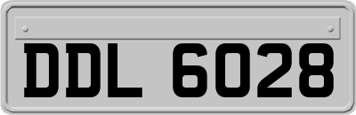 DDL6028