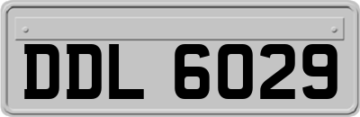 DDL6029