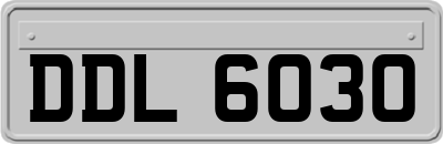DDL6030