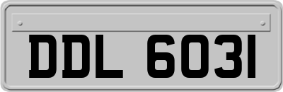 DDL6031