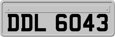 DDL6043