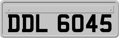 DDL6045