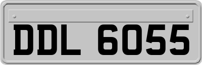 DDL6055