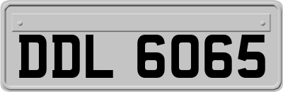 DDL6065