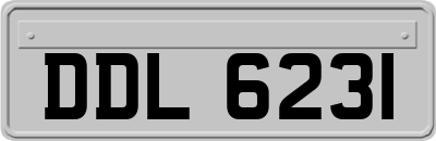 DDL6231