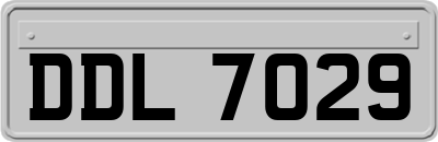 DDL7029