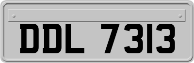 DDL7313