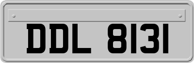 DDL8131