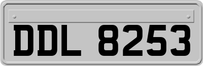 DDL8253
