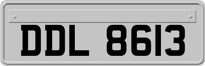 DDL8613