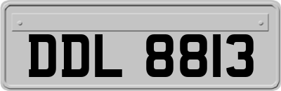 DDL8813