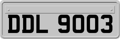 DDL9003
