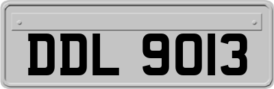 DDL9013