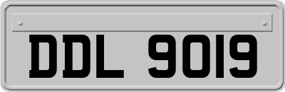 DDL9019