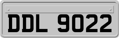 DDL9022