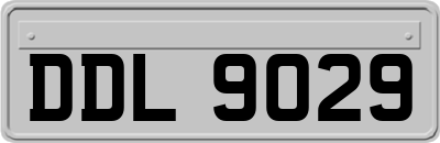 DDL9029