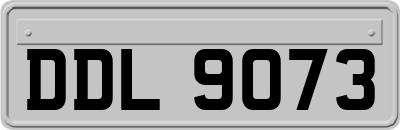 DDL9073