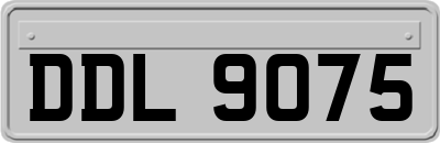 DDL9075