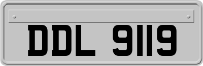 DDL9119