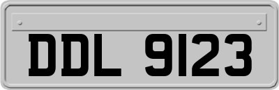 DDL9123
