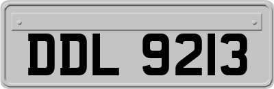 DDL9213