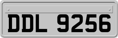 DDL9256
