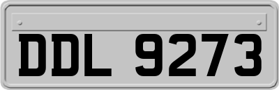 DDL9273