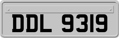 DDL9319