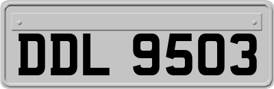 DDL9503