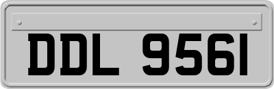 DDL9561