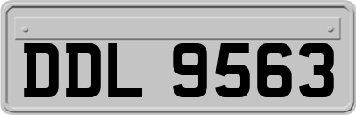 DDL9563