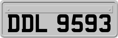 DDL9593