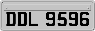 DDL9596